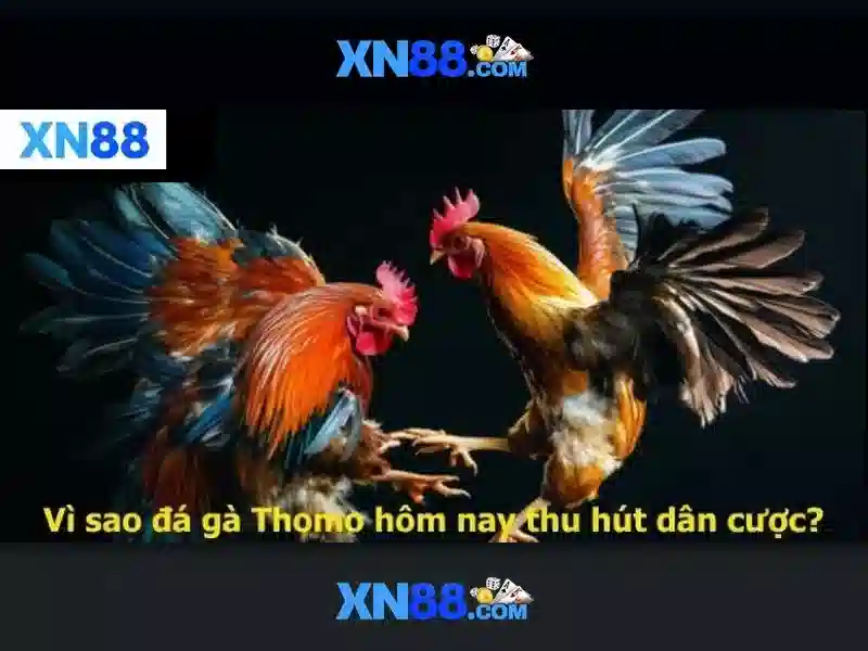 XN88 - Trang Chủ Slot Đổi Thưởng Cực Hot, Đánh Lừa Đảo Không? - XN88