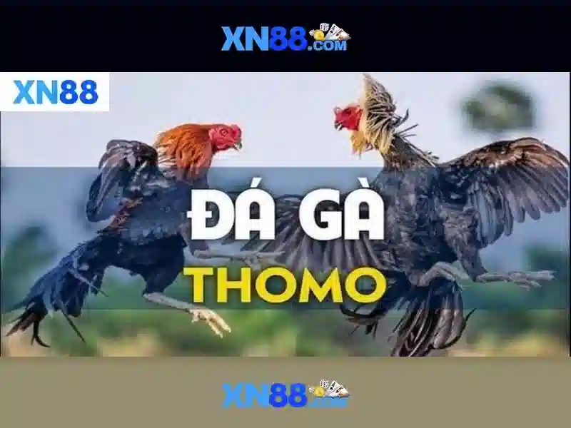 xn88: Hướng dẫn tối ưu nội dung cho trang cược trực tuyến an toàn và hiệu quả