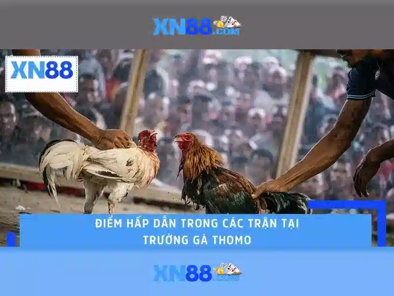 💎nhà cái tài xỉu vodich88💎