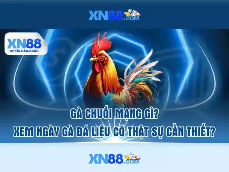 💎fabet mã thưởng💎 - fabet 88 com - nhận định bóng đá fabet