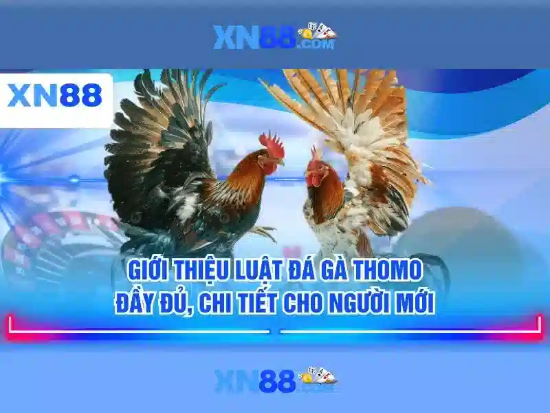 💎188bet trang chủ nhà cái #1 châu âu💎