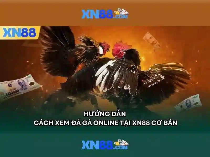 💎nhà cái uy tín xin xò💎