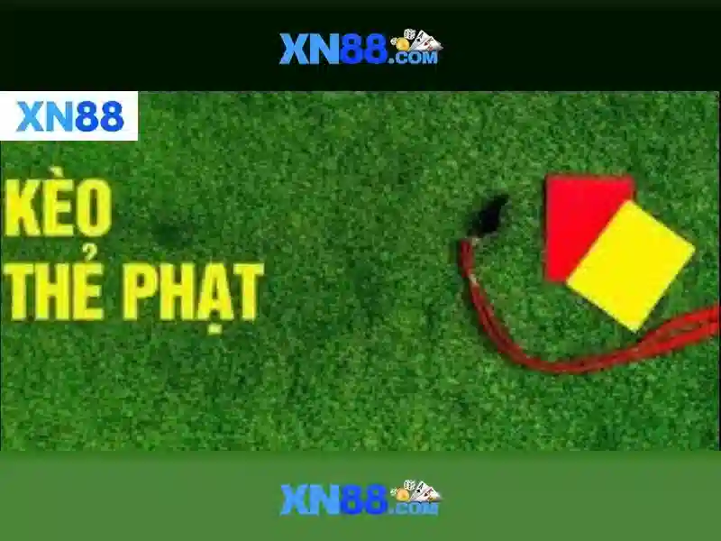 💎câu cá và cuộc sống apk💎