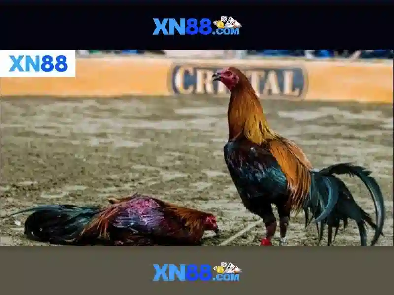 💎casino slots bonus instant withdraw💎