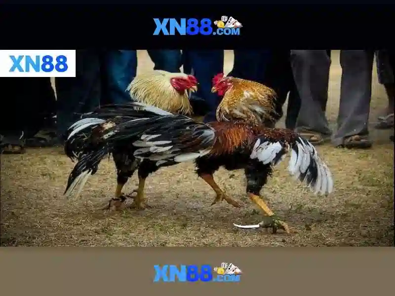 💎sin88 lừa đảo💎 - sin88 space - đăng ký sin88