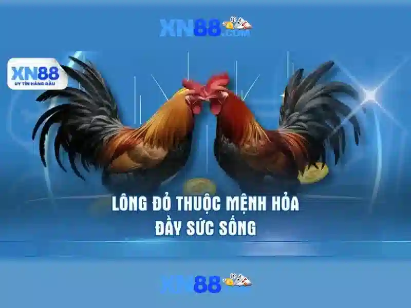 💎bậc thầy ẩn danh💎