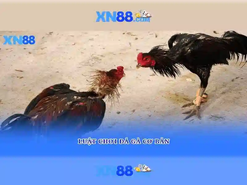 💎gold fish slot💎