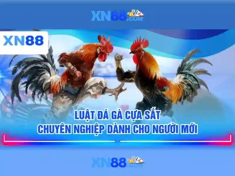 💎sông đá bạc có tên gọi khác là gì💎