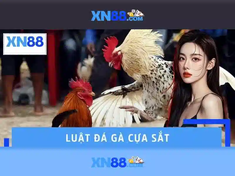 💎tỷ lệ kèo nhà cái kncm💎