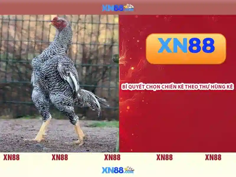 XN88 – Trải Nghiệm Slot Đỉnh Cao Với XN88 Slot - XN88