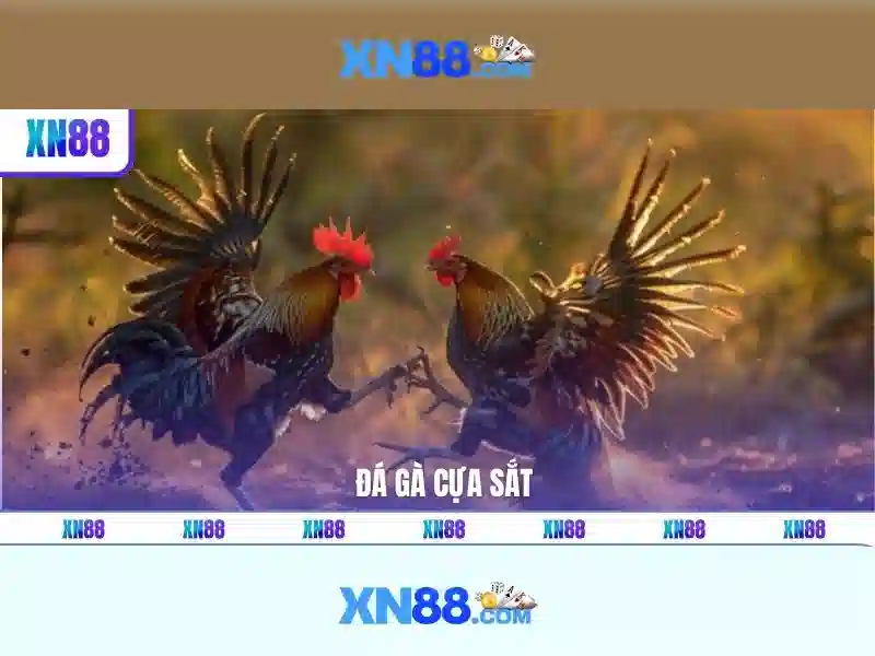 💎tỷ lệ kèo nhà cái tỷ số💎