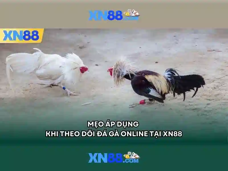 💎fabet 88i💎 - fabet trong vòng 5 dặm - fabet tvi