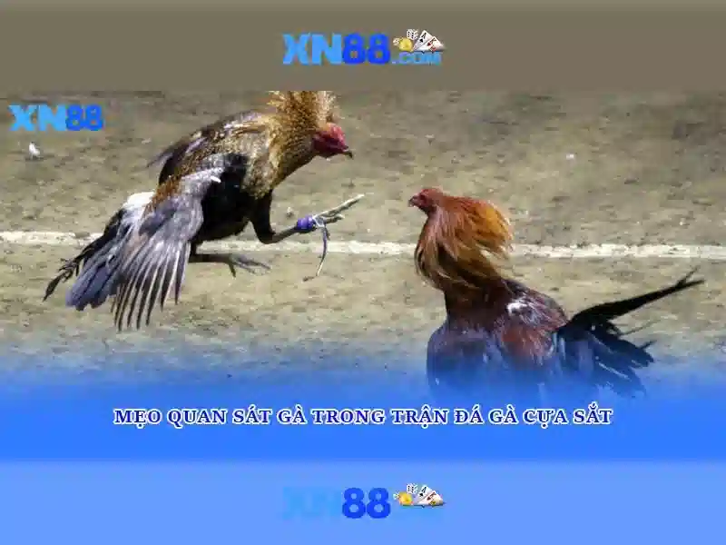 💎789bet nhà cái hàng đầu việt nam💎