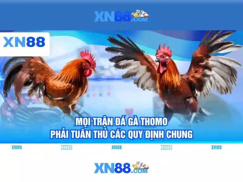 💎nhận định bóng đá kèo nhà cái 2💎