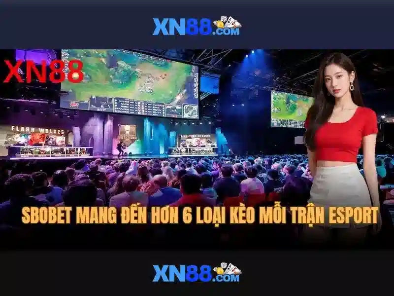 💎cước câu cá daiwa💎