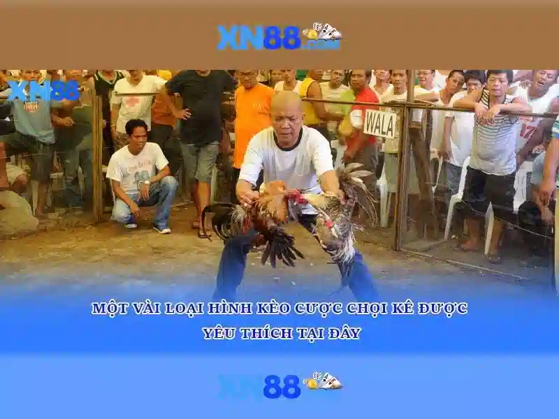 💎free play n go slots💎