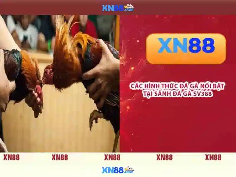 💎cuộc đời thích ca mâu ni phật💎