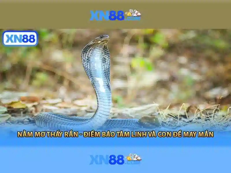 💎link bo slot💎
