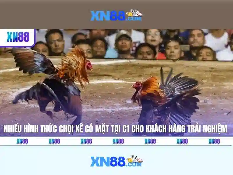 💎kèo nhà cái chuẩn knct💎