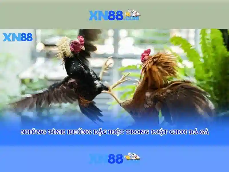 💎xn88 178 register💎