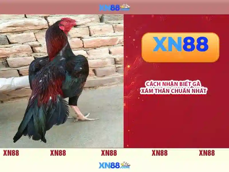 💎sin88 live💎 - tải sin88 club - download sin88