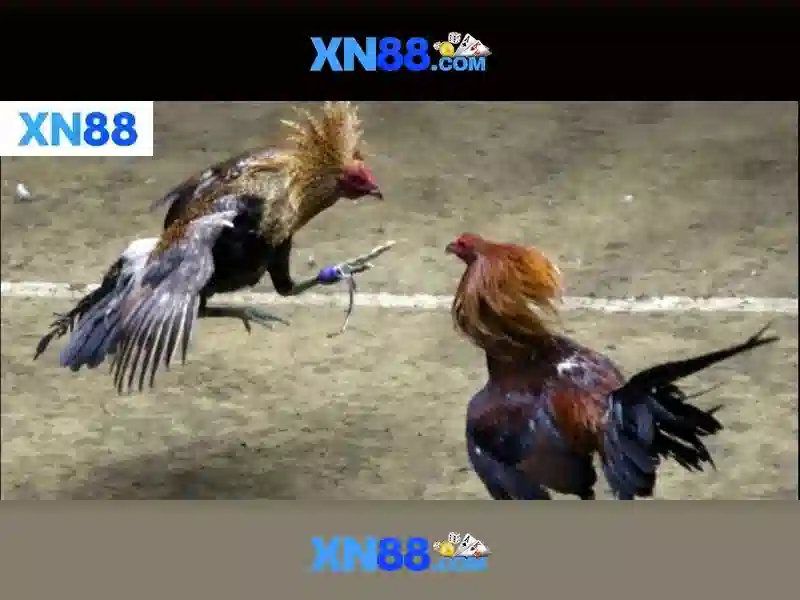 💎game 888 slot slot💎