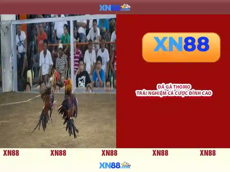 💎bóc phốt nhà cái nhacaiuytin💎