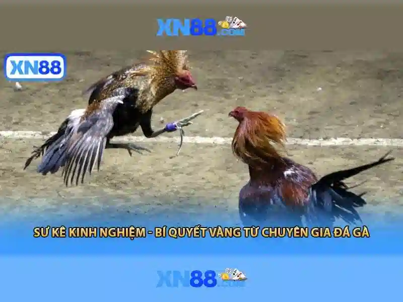 💎boom brothers slots💎