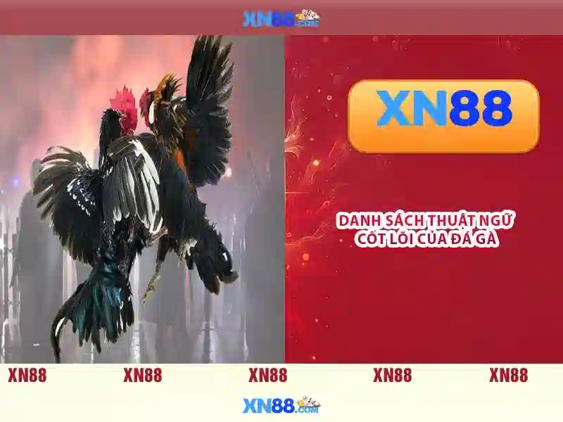 💎keo cai nha cai💎