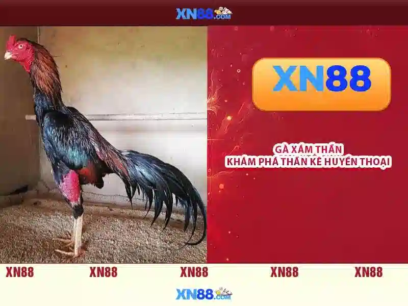 💎bonus slot 100 member baru💎