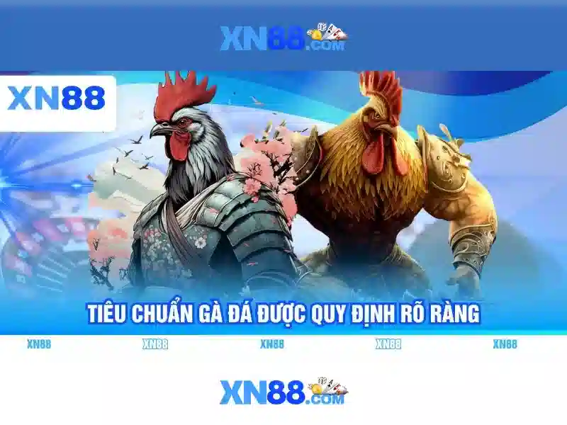 💎hệ số cá cược bóng đá💎