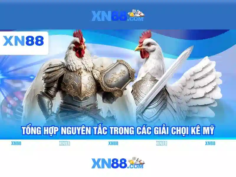 💎vụ đánh bạc ở vĩnh bảo hải phòng💎