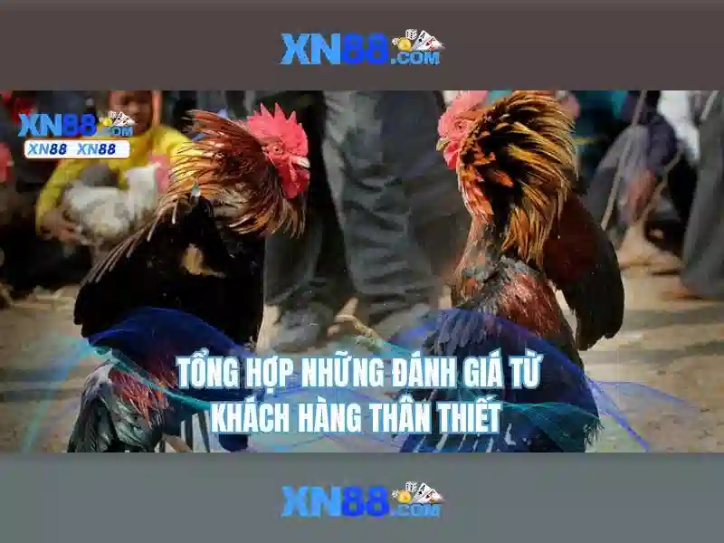 💎nhà xe móng cái điện biên💎