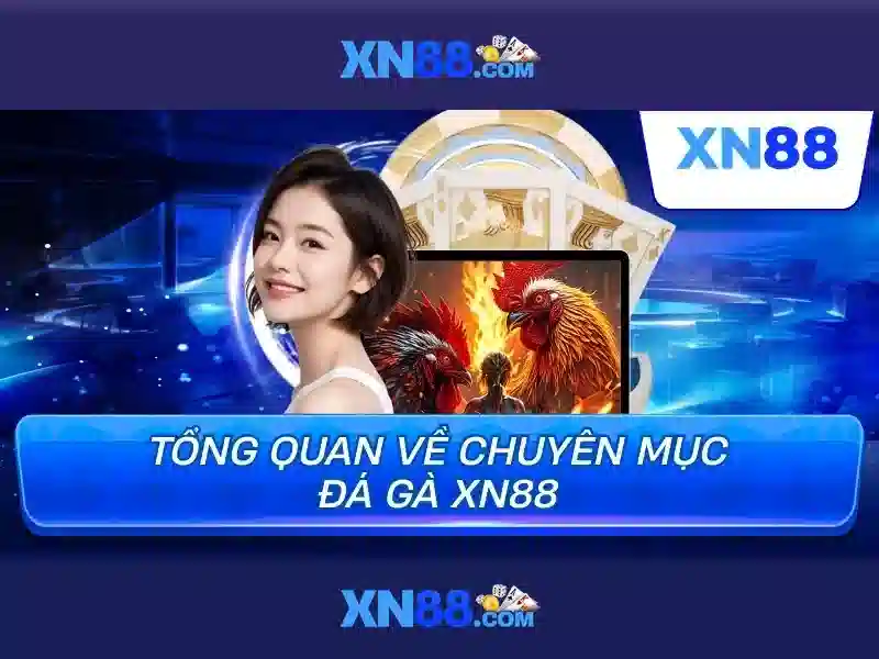 Tải App XN88 – Ứng Dụng Slot Siêu Tiện Ích 2026 - XN88