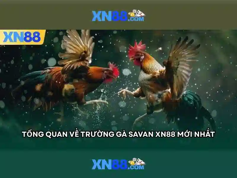 💎pau88 nhà cái💎