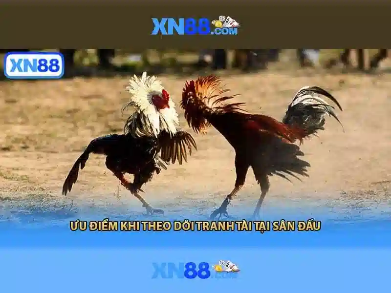 💎casino slots game💎