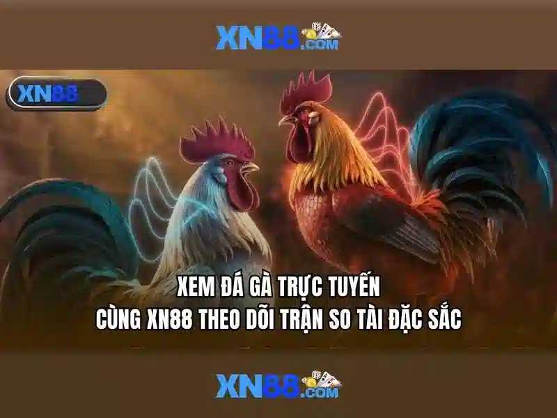  xn88 có uy tín không - XN88