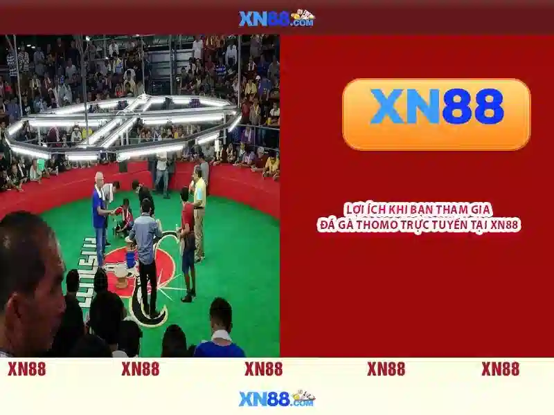 💎top nhà cái uy tín 240💎