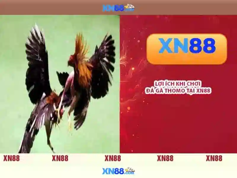 💎câu cá và cuộc sống gamehayvl💎
