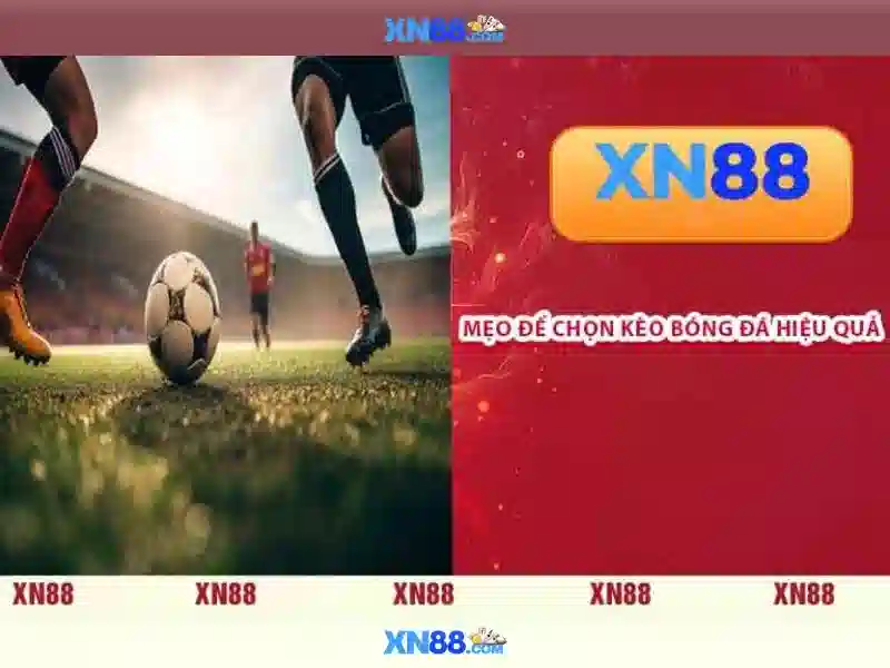 💎cá cược golf fun88💎