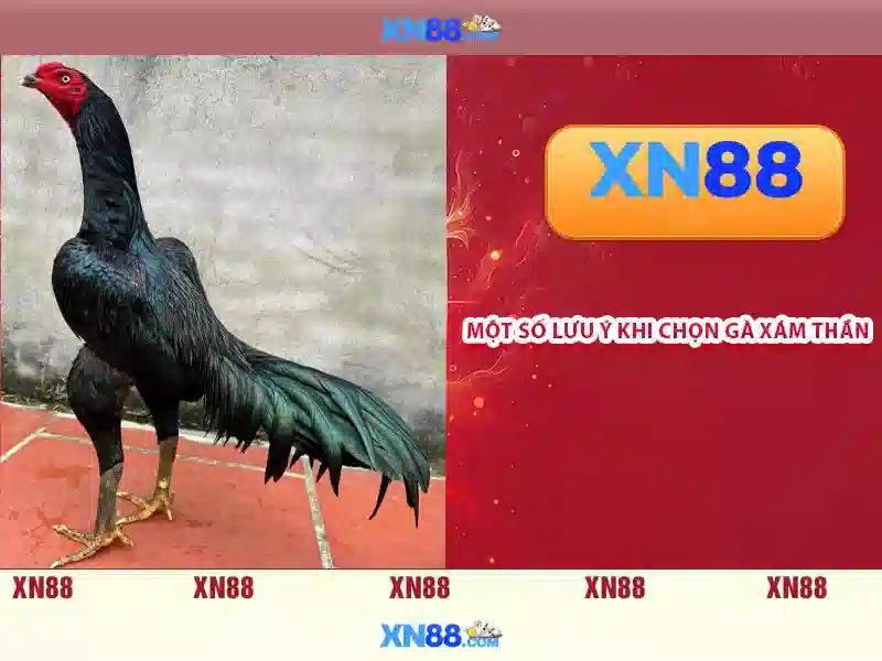 💎top free slot games💎