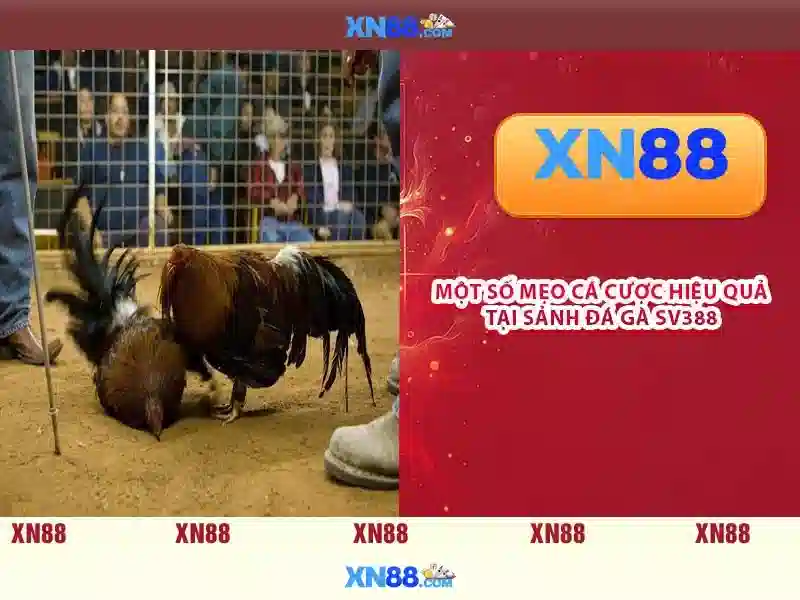 💎888slot 83💎 - 888 slot download - 888 fortune slot machine