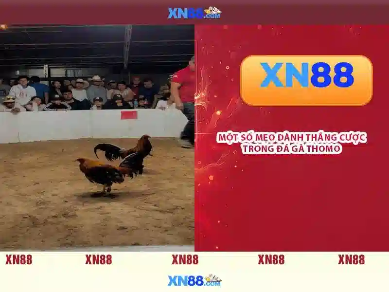 💎mã thưởng fabet💎 - fabet fabet - fabet code tặng thưởng