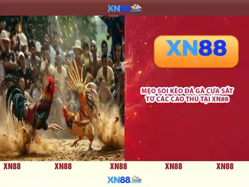 💎sin88 link vào sin88💎 - sin88 mã xác minh - tại sin88 về điện thoại