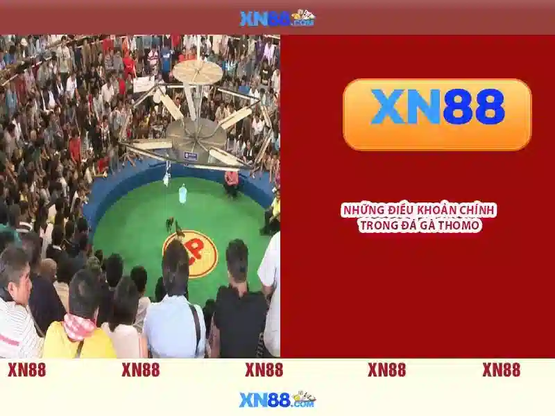 💎truc tiepbong da keo nha cai💎