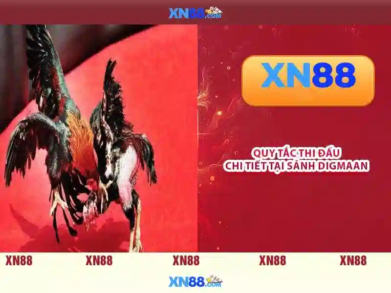 💎web cá cược euro💎