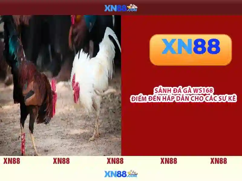 💎fb88 trang nha cai💎