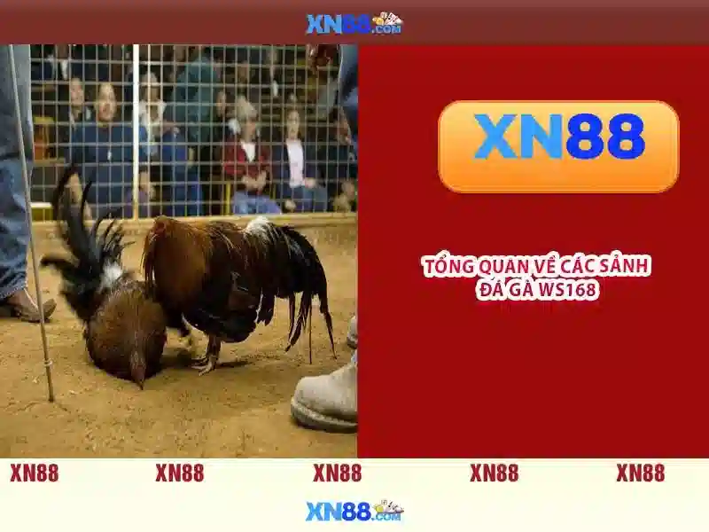 💎dolphin’s pearl deluxe slot💎