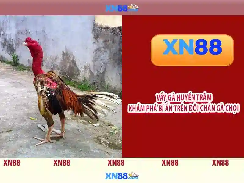 💎dịch vụ cài win tại nhà phong vu tech💎