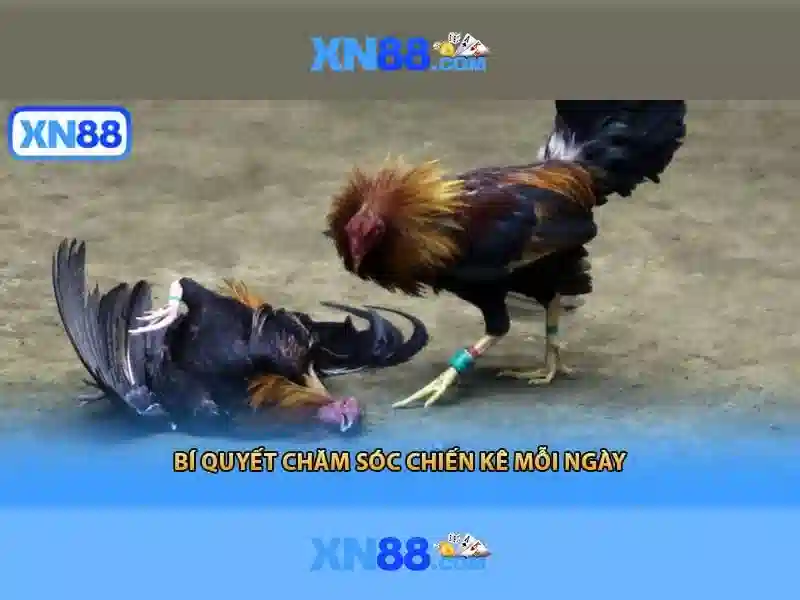 💎đăng nhập fabet💎 - fabet đây - dang nhap fabet